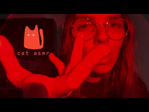 Soft Spoken ASMR About My Cats 🐱 Hand Movements