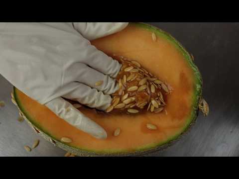 ASMR Touching Juicy Fruit Sounds 💦 Satisfying Video