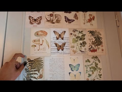 ASMR colando cartões estampados