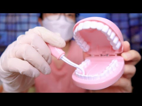 ASMR Dental Cleaning & Whitening