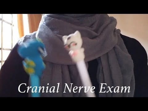 ASMR | Fast & Chaotic Cranial Nerve Exam (Focus, Follow Instruction, Ear, Eye, Taste, Smell Tests)