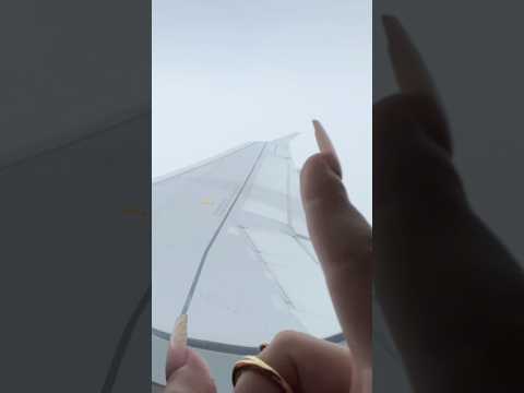 ASMR In An Airplane | Public ASMR