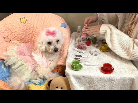 Tea Party Asmr | Soft Spoken & Glass Tapping