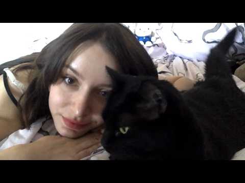 bad ASMR w my cat