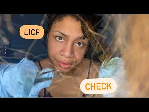 ASMR - Lice Check (Madison)