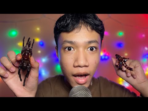 Eating REAL Bugs ASMR | Cambodian Exotic Food Mukbang