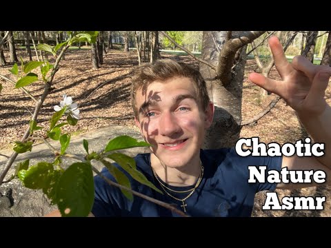 Chaotic asmr out in nature