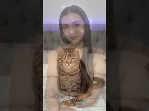 ASMR Soy un Therian 🐱✨