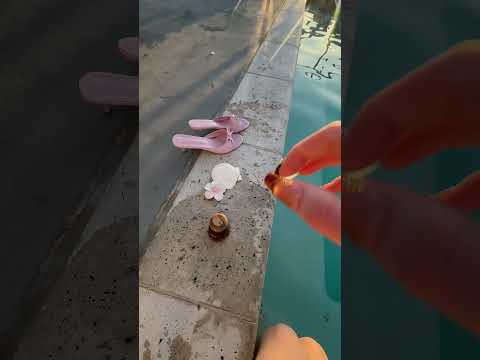 asmr w new mics #asmr #lofiasmr #poolasmr #relax #asmrgame