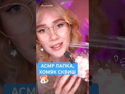 🔥 АСМР МУРАШКИ ОТ ТАБА ЛАПКИ 🐾 Сквиш Хомяк, Антистресс Орео asmr squishy taba