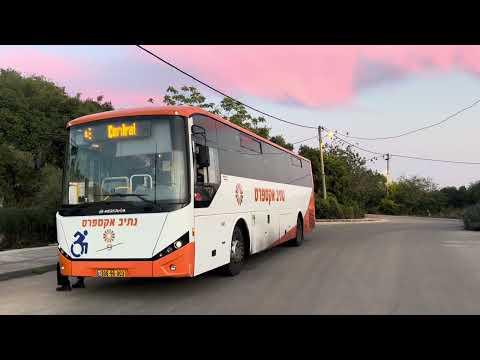 Northern Israel without a trending audio