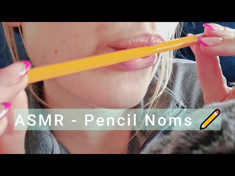 ASMR - Pencil Noms ✏️