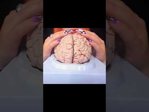 ASMR Brain Massage | Relaxing 3D Sounds for Mind Healing & Deep Focused #shortvideo #shorts