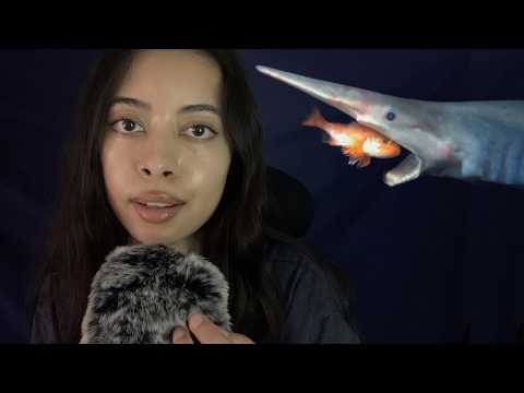 ASMR ocean facts 🌊