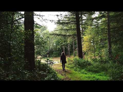 ASMR 3D Binaural walking sound (SNOW/GRAVEL/FOREST)