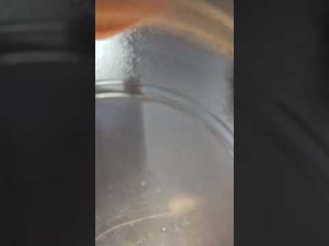 ASMR plastic bowl tapping