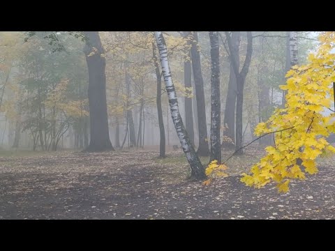 halloweeny asmr
