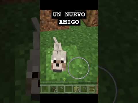 ASMR mis dos nuevos amigos #minecraft #asmrespañol #asmr