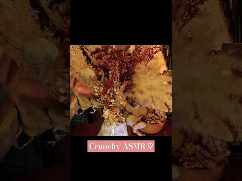 ASMR Satisfying Crunchy Dried Flowers 🍂✨ Sleep, Tingles & Relaxation