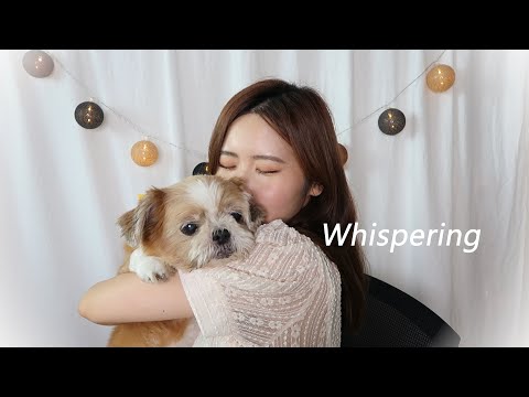 ASMR 몽실이 등장⭐️여러분 우리 수다 떨어요/Whispering Talking