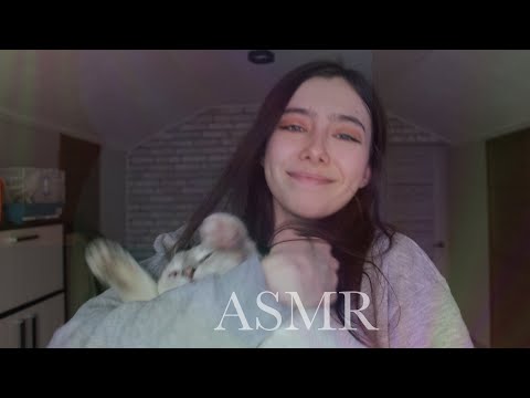 ASMR с милейшими животными ❤️🐱🐭