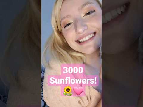 Thank you soooo much my little Sunflowers!🌻🩷 #asmr #mouthsounds #kiss #asmrtingles #sunflower #3k