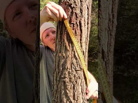 ASMR Mother Nature Spa Day With @ComeToRestASMR #asmr