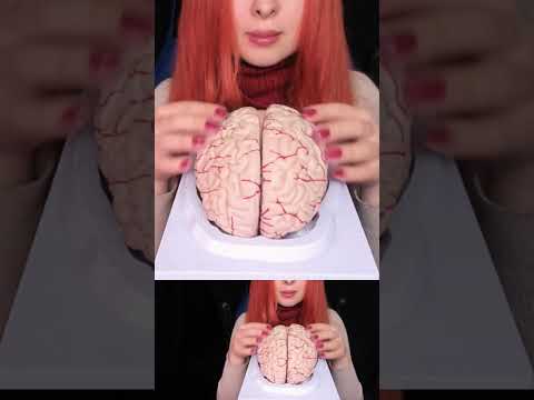 ASMR Most Tingly Brain Massage Ever (No Talking) #shorts