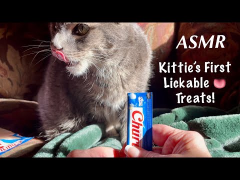 My cats try Handheld Lickable Treats for the first time! Licking sounds & plastic crinkles~ASMR