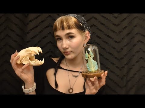 ASMR🖤 Relaxing Tapping on Bones, Antiques & Oddities | Whisper Rambles 
