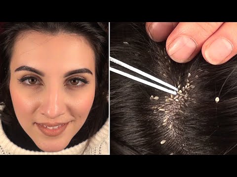 ASMR “Realistic” Lice Check, Fake Lice, Tweezers, Chopsticks