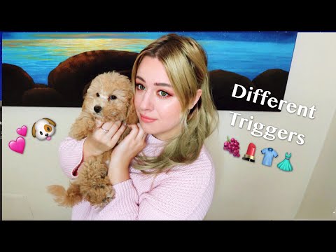 ASMR 💕Vi presento la mia cucciola! + Show & tell e chiacchere!