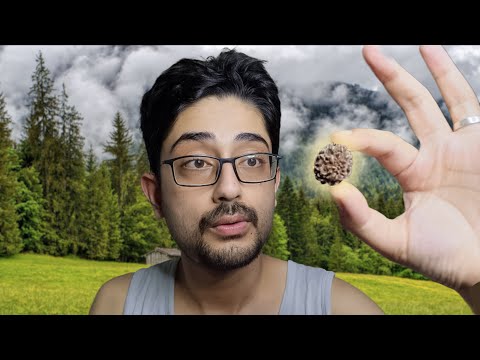 ASMR Pahadi Bro gives you RUDRAKSHA 🕉️ Spiritual Whispering