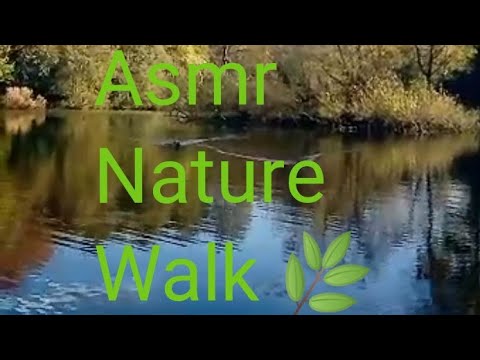 ASMR Nature Walk 🌱🌿