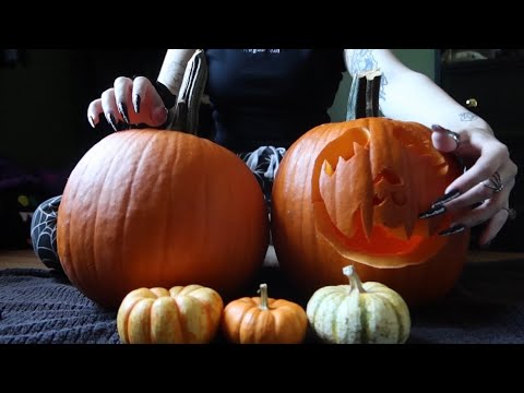 ASMR | Tingly Pumpkin Tapping & Scratching 🎃