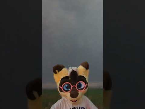 stormy nuki