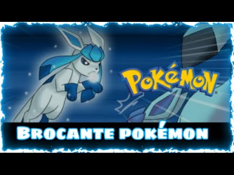 Retour de brocante pokémon :  Des cartes pokémon à petit prix !