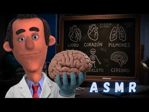 ASMR Anatomía con el Dr. Extraño🧠 Clases Extrañas para Dormir (Roleplay médico)