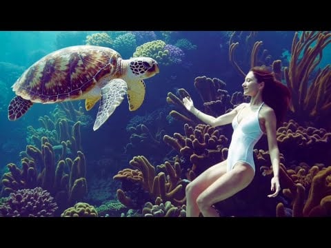 10 minutes Relaxing music for meditation | soft water sounds | underwater view