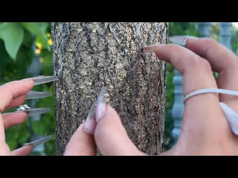 💤 Relaxing Night ASMR | Outdoor Tapping Triggers ✨