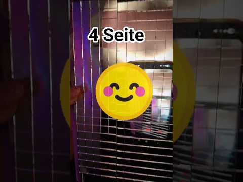 4 Seite Triggerbuch ASMR  #asmrvideo #asmrsounds #asmrtapping #asmrscratching #asmr #asmrshorts