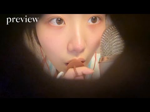 《KC Sleep Aid》In the Beehive, close-up sugar-eating ASMR