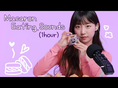 ASMR 🍰1시간 반복 Macron&Creampuff Dessert Party 🧁 마카롱 이팅 사운드 🌈