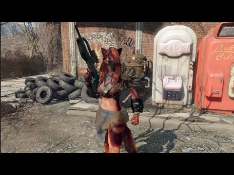 Fallout4 but everyone is a Wolf