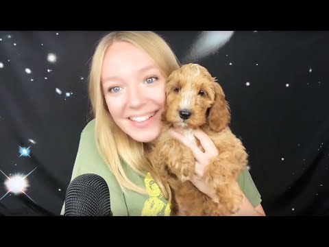 ASMR Meet my new puppy Mabel (Whispered)