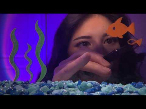 ur a betta fish and i'm ur attentive owner (asmr)