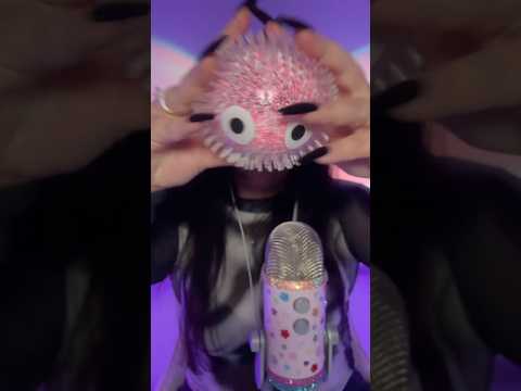 My IRL Club Penguin Puffle but it’s ASMR