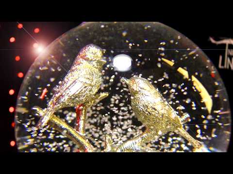 (ASMR) You Gotta Check Out These 2 Birds