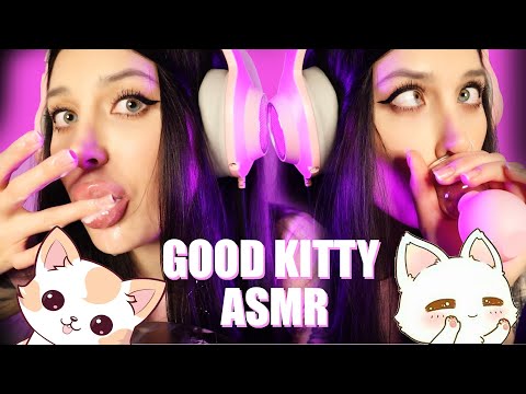 ASMR KITTY CAT