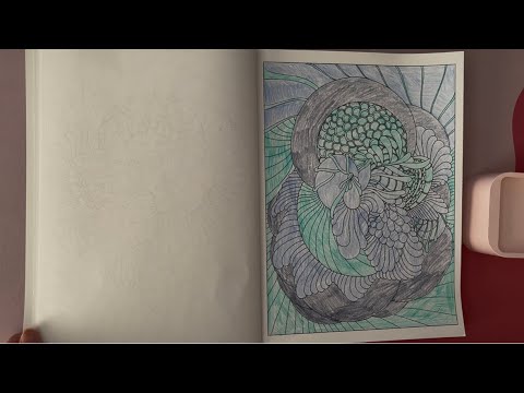 ASMR Coloring In A Mindfulness Coloring Book (No Talking)